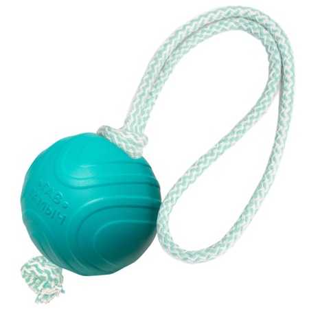 Игрушка для собак ГАВ ГАМЫЧ 12192022  "Мячик с веревкой", 75мм, Гамма  